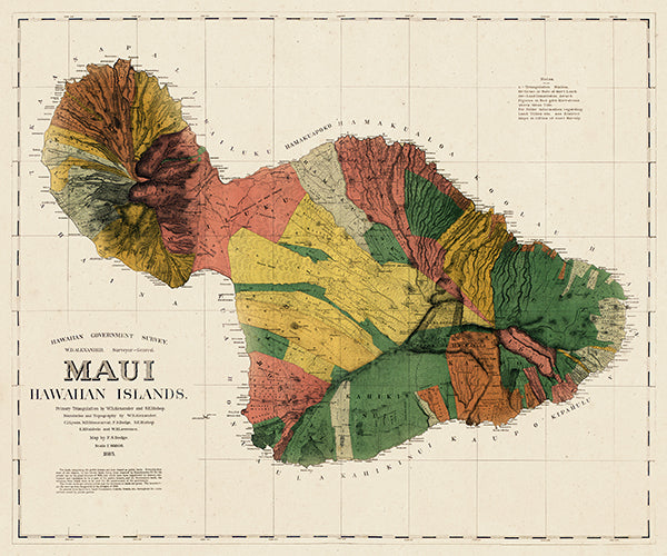 Map: Maui 1885 Island Map 24x28, Maui 1885 Island Map (1885)